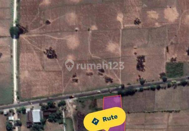 Dijual Tanah Strategis di Cepu, Blora 2