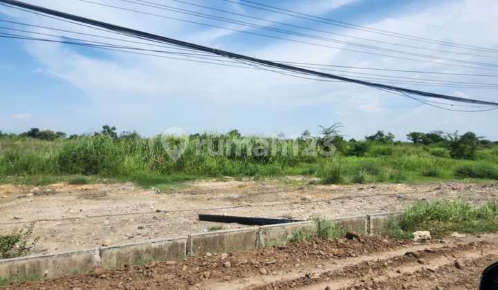 Tanah Industri Raya Manyar Gresik Dekat Jiipe Pintu Tol Pelabuhan Tanah Industri Raya Manyar Gresik Dekat Jiipe Pintu Tol Pelabuhan