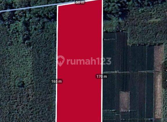 Tanah Industri Murah Dibawah Harga Pasar kawasan Industri  1