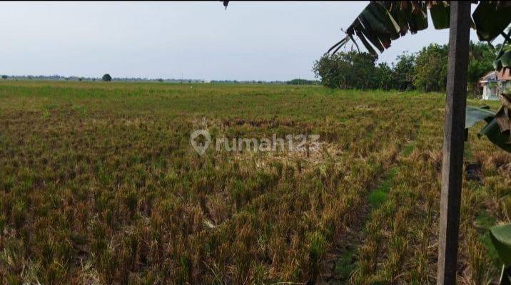 Tanah Industri Murah Dibawah Harga Pasar kawasan Industri  2