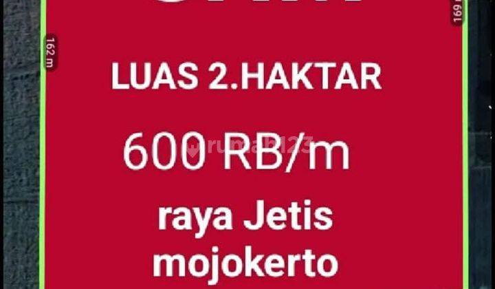 Tanah Industri Nurah Dekat Tol Mojokerto Dan Harga Dibawah Pasar 1