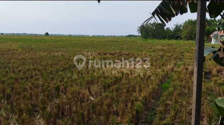 Tanah Industri Murah Harga Dibawah Pasar Dan Lokasi Strategis 2