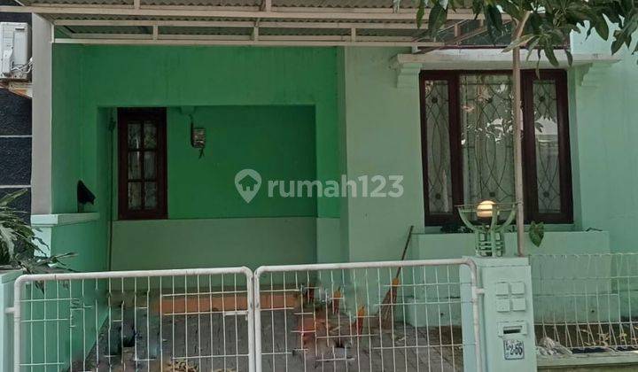 Disewakan Rumah Nyaman Alam Hijau Citraland Surabaya Barat 1