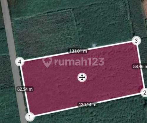 Tanah SHM di Puncu, Kediri Tanah SHM di Puncu, Kediri