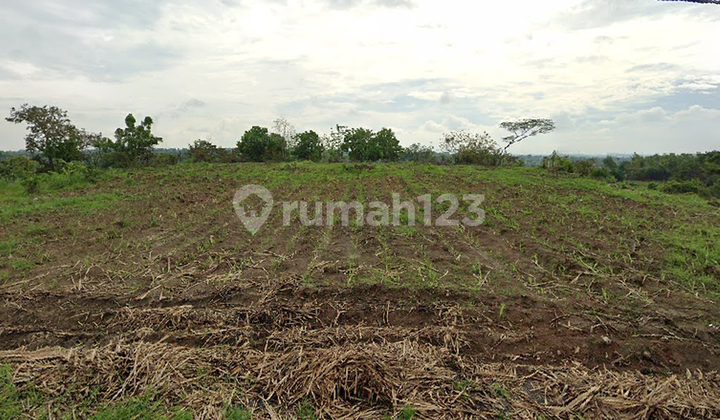 Tanah Murah Luas Industri di Mojowarno Mojokerto