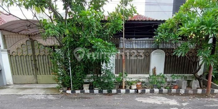 Dijual Rumah Di Jl Manyar Kertoarjo Surabaya Dijual Rumah Di Jl Manyar Kertoarjo Surabaya