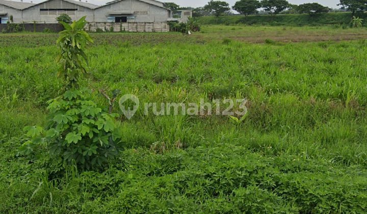 Tanah Lahan Industri Murah di Jetis Mojokerto