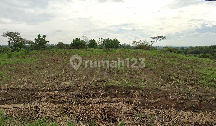 Tanah Lahan Industri Luas Murah di Jetis Mojokerto