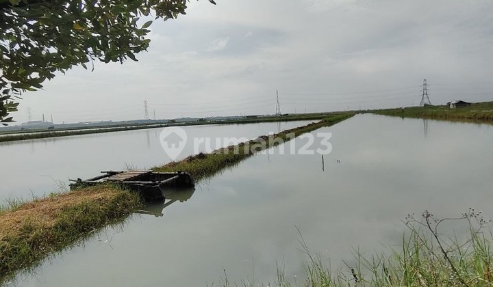 Jual Tanah Murah dan Luas di Benowo Surabaya