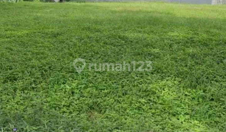 Tanah Murah di Citraland Lidah Kulon Surabaya