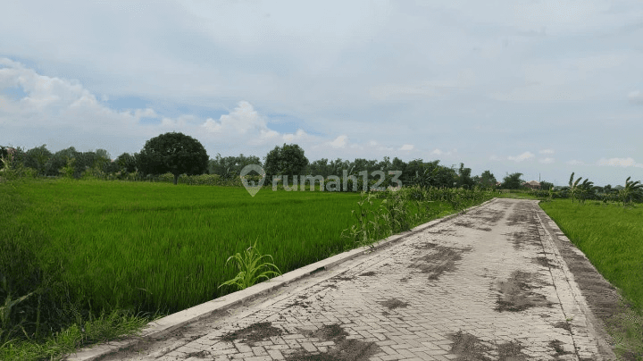 Dijual Tanah Murah Strategis Di Kedamean Gresik 1