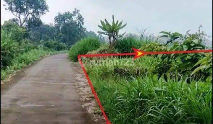 Dijual Tanah di Desa Wiyu Pacet, Mojokerto  2