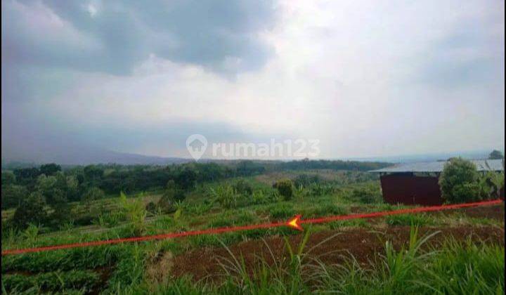 Dijual Tanah di Desa Wiyu Pacet, Mojokerto  1