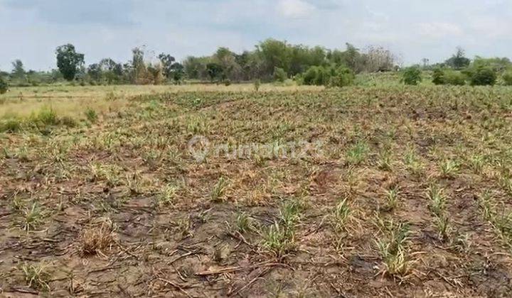 Dijual Tanah di Raya Glugu Mantup , Lamongan 2