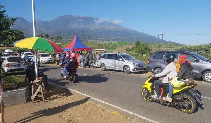 Dijual Lahan Kebun Apel SHM Strategis di Batu Malang 2