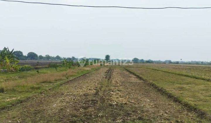 Dijual Tanah Murah Strategis di Kemuning Tarik, Sidoarjo 2