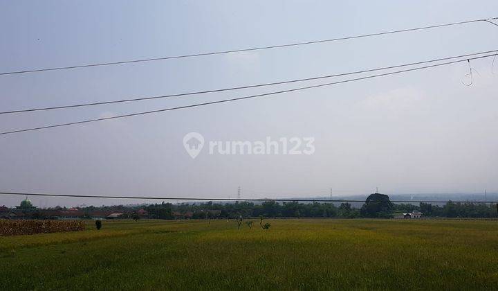 Dijual Tanah Luas Strategis di Mojowarno Jombang 1