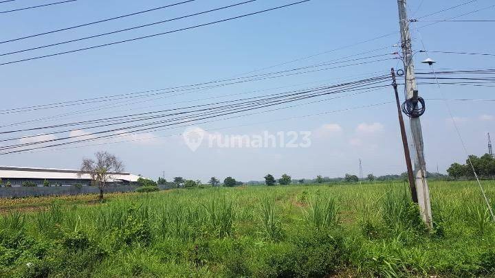 Dijual Tanah Luas Strategis di Karangwinongan, Jombang 2