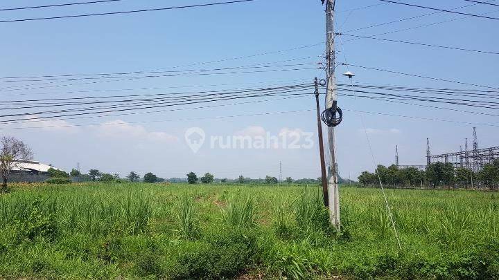 Dijual Tanah Luas Strategis di Karangwinongan, Jombang 1