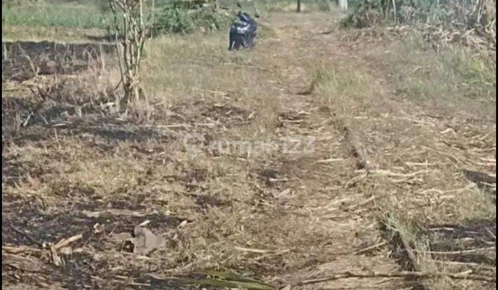 Dijual Tanah di Kedawung Wetan Kecamatan Grati, Pasuruan 2