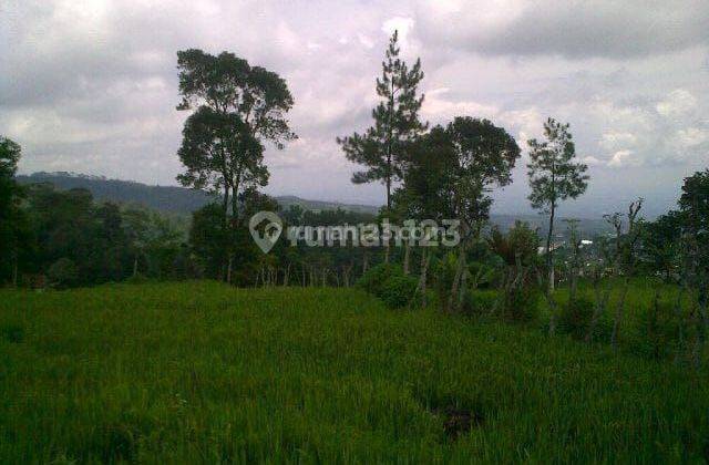 Dijual Tanah Pacet Mojokerto 1