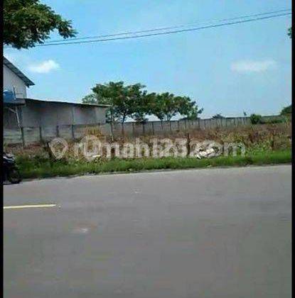 Dijual Tanah Raya Widang Tuban  1