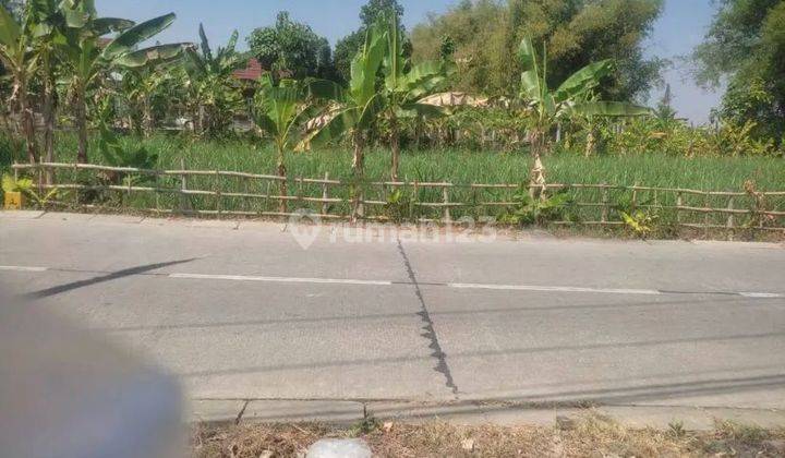 Dijual Tanah di Jl. Lettu Suyitno Kec. Trucuk, Bojonegoro 1