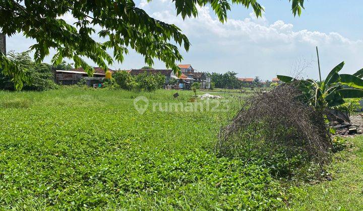 Dijual Tanah Murah Strategis di Ds Banjarsari, Cerme Gresik 1