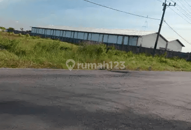 Dijual Tanah Luas di Kawasa Industri Nol Jalan Raya di Gresik Jatim 1