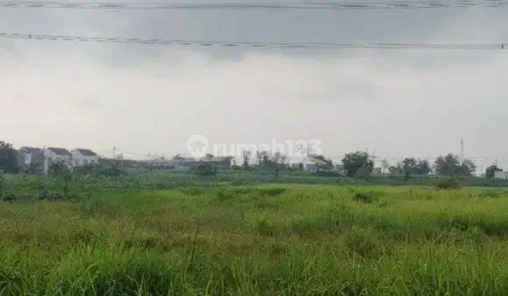 Dijual Tanah Murah di Desa Mojosarirejo Driyorejo Gresik 1