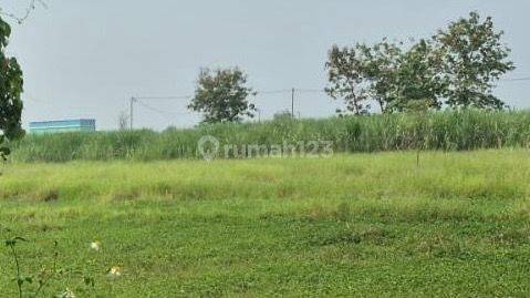 Dijual Tanah Strategis Murah di Prambon Sidoarjo Jawa Timur 1