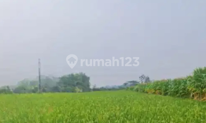 Dijual Tanah Luas Strategis di Desa Pugeran Kec Gondang Mojokerto Dijual Tanah Luas Strategis di Desa Pugeran Kec Gondang Mojokerto