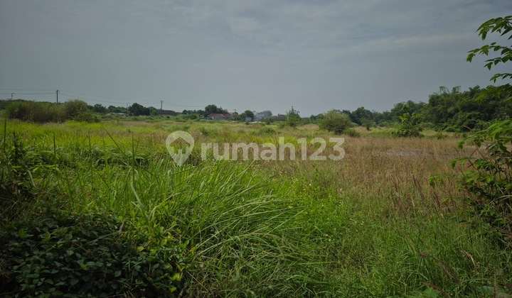 Disewakan Tanah Zona Industri di Raya Prambon Sidoarjo