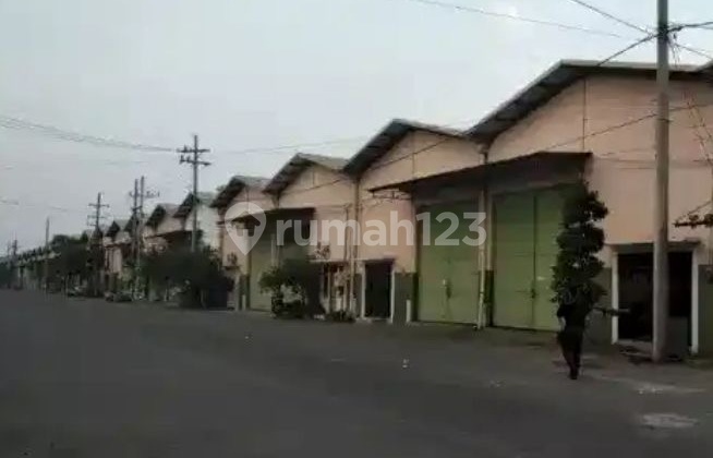 Disewakan Gudang Siap Huni di Gedangan Sidoarjo Disewakan Gudang Siap Huni di Gedangan Sidoarjo