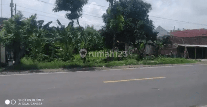 Dijul Tanah di Jl Provinsi Raya Surabaya Jogja, Kedunggalar Ngawi 2