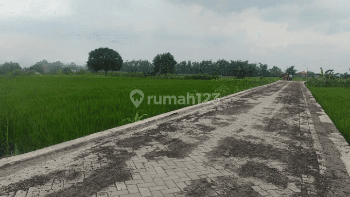 Dijual Tanah Murah Strategis Di Kedamean Gresik 2