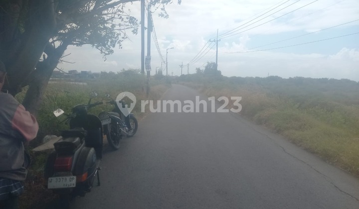 Dijual Tanah Luas Nol Jalan di Raya Cemandi Sedati Sidoarjo