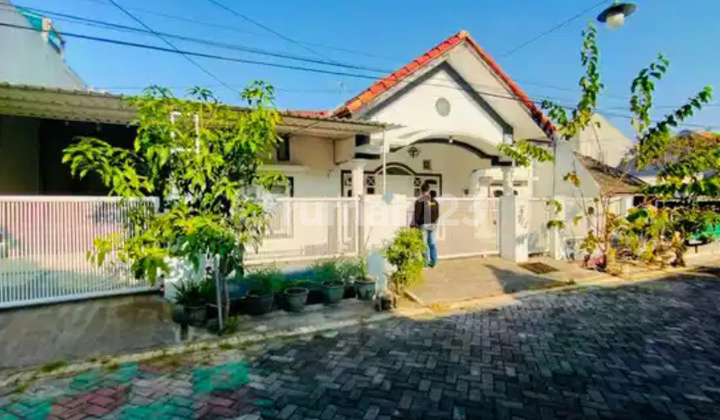 Dijual Rumah 2 Lantai Siap Huni di Bumi Intan Permai Sidoarjo Dijual Rumah 2 Lantai Siap Huni di Bumi Intan Permai Sidoarjo