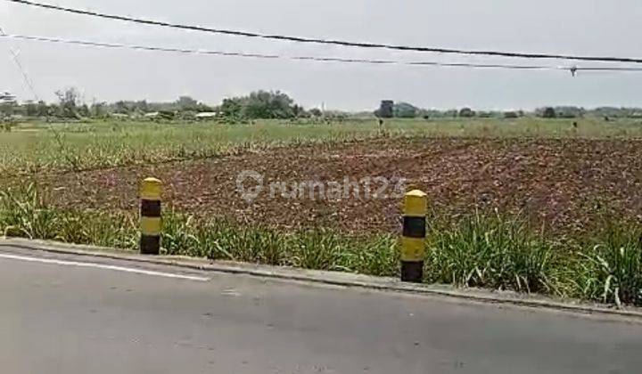 Dijual Tanah Luas di Jl Mojokerto lamongan, Kemlagi Mojokerto 2