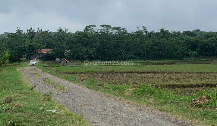 Tanah Sawah Dijual Di Bungursari Purwakarta Harga Per Meter 2024