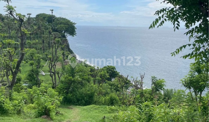 For Sale Los Tebing Karangasem Land 1.5 Hectares