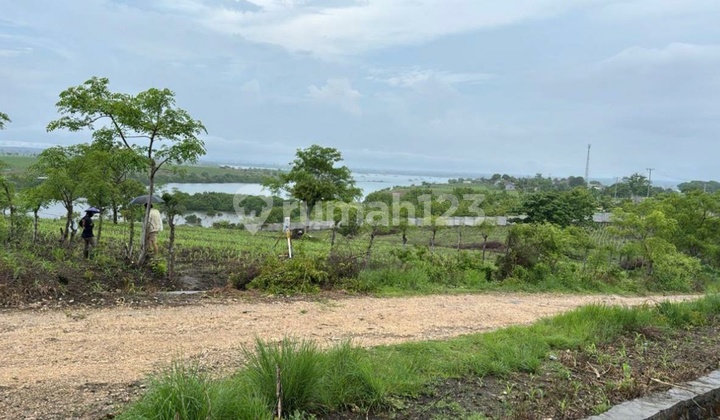 For sale 1.4 hectares of Pink Beach Land in East Lombok