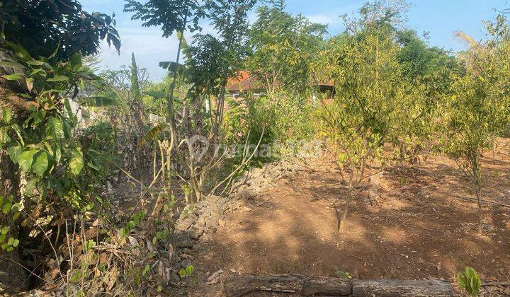 Nunggalan Pecatu Land area for Lease 2