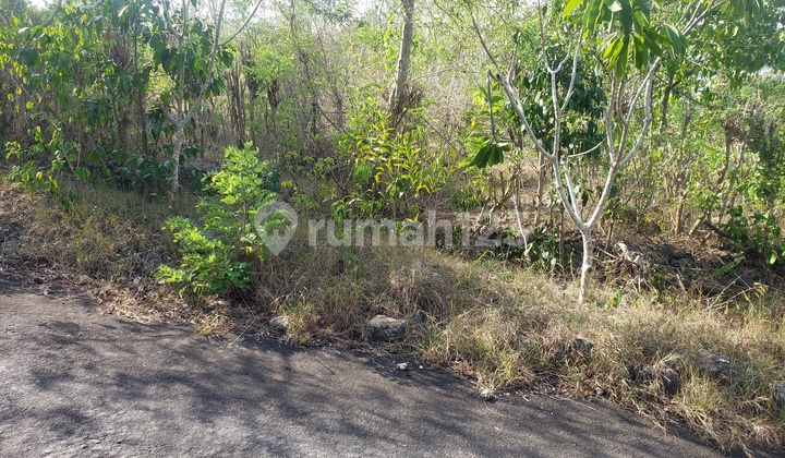 Ocean View Padang Padang Beach For Lease & Sale