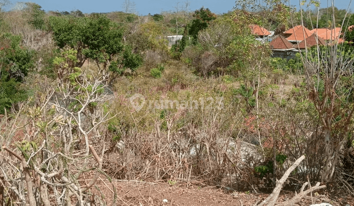 Disewakan Tanah Mulai Dari 5are Dekat Pantai Nunggalan 1