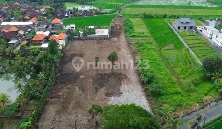 Land for Sale in Kaba Kaba Canggu Area, Yellow Zone