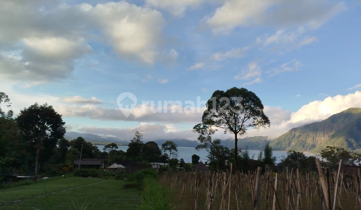 Dijual Tanah Depan Danau Kintamani 16are Dijual Tanah Depan Danau Kintamani 16are