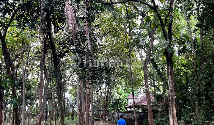 Dijual Tanah Lokasi Premium Di Desa Kaba Kaba 