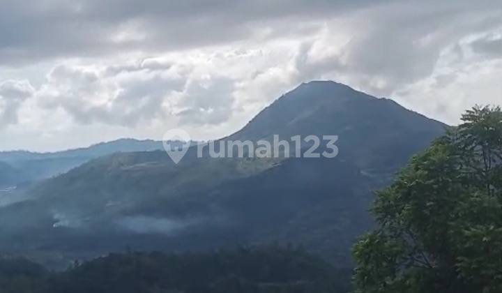 Dijual Tanah Full View 10are Dekat Indomaret View Kintamani Dijual Tanah Full View 10are Dekat Indomaret View Kintamani