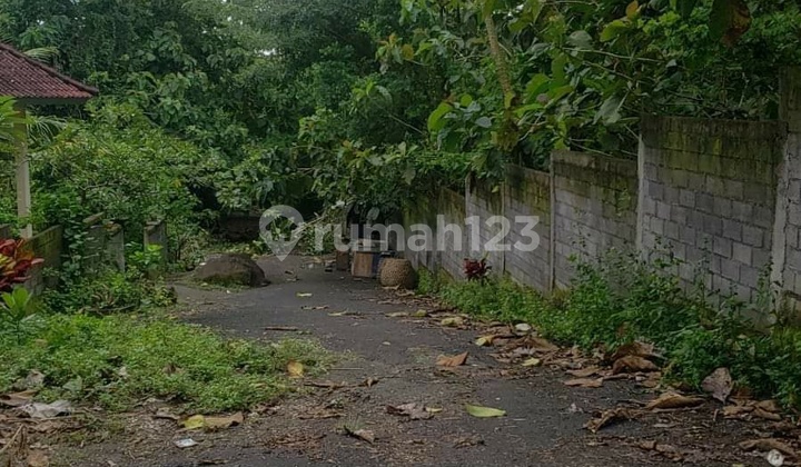 Pecatu Land 50are For Sale Savaya Area Close To The Beach Pecatu Land 50are For Sale Savaya Area Close To The Beach